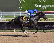 ¡Todo o nada! Knightsbridge, con Junior Alvarado busca escribir su nombre en los $225,000 del Gulfstream Park Mile Stakes