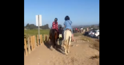Denuncian maltrato de caballos en Playa La Boca de Concón y municipio exige sanciones