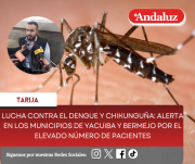 Lucha contra el Dengue y Chikunguña: Alerta en los municipios de Yacuiba y Bermejo por el elevado número de pacientes