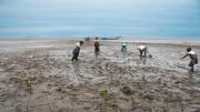 Mangrove Breakthrough impulsa la protección de 15 millones de hectáreas de manglares hacia 2030