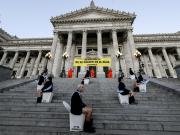 Los 12 activistas de Greenpeace detenidos en el Congreso: todos sin antecedentes y puestos en libertad