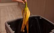 No las tirés: por qué las cáscaras de banana son claves para tus plantas