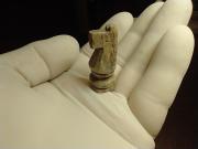 Hallan una pieza de ajedrez de las tropas que participaron de la Batalla de Vuelta de Obligado