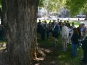 Juan José Sebreli: esparcieron sus cenizas en Plaza Constitución y cumplieron su última voluntad