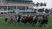 Guía de última hora para Gulfstream Park: Cambios, Lasix y los mejores aprontes para el sábado
