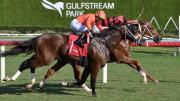 No apuestes este sábado sin ver la previa de Meridiano: Análisis y pronósticos para Gulfstream Park