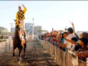 Jockey Cam: Móntate con Luis Rojas sobre Horion, tras la victoria en la triplecorona chilena