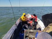 Un documental se convierte en nexo entre los científicos y pescadores, para proteger a un pez en peligro