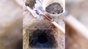 Hizo un pozo para plantar un árbol en su casa y empezó a salir petróleo