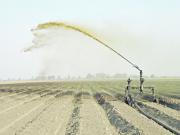 Recuperación del uso de la vinaza: de problemática ambiental a potenciador del cultivo