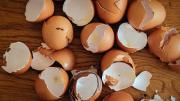 Reciclaje: no tirés las cáscaras de huevo, guardalas y transformalas en maravillosas ideas para el hogar