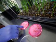 Bioceres pidió su propia quiebra en medio de fuertes acusaciones cruzadas