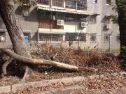 Habitantes del sector 6 solicitan respuesta a diversas problemáticas