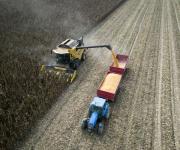 Camiones cargados de soja esperan en puerto de Brasil, ralentizando envíos de cosecha récord