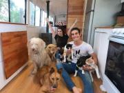Cansada de la rutina, una pareja armó un motorhome y viaja con sus mascotas: Nos faltaba sorpresa, adrenalina