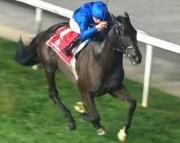 De menos a más: Jinete William Buick guía a Rebel’s Romance hacia la victoria en el Dubai City of Gold (Gr.2)