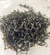 PUCV investiga bebidas probióticas a partir de macroalgas de la región de Valparaíso