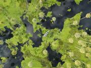 El Gran Chaco busca oportunidades en la agenda global UE-Mercosur