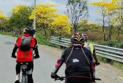 Guayacanes en Isidro Ayora: ciclistas recorren 150 km desde Guayaquil
