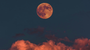 Este martes se podrá ver la Luna de Sangre en tres continentes: ¿A qué hora en Chile?