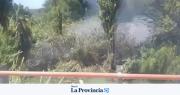 Rápida acción de Bomberos evitó que un incendio se propagara en Las Tapias