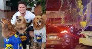 VIRAL: Hombre murió en violento accidente de tránsito y lo que hizo su perro conmovió a todos