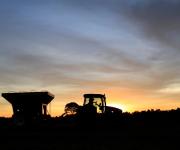 La agroindustria del aceite en Paraguay inicia el año con señales de recuperación