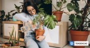 El real impacto de las plantas de interior en nuestra salud, según estudio