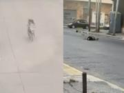 Quilmes: un hombre murió decapitado