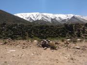 Murió un turista francés que realizaba una travesía en el Manzano Histórico