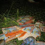 ASOBAN activará control y la destrucción de billetes Serie B