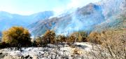 Sigue combate de incendios forestales en zonas cordilleranas de difícil acceso