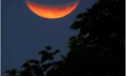 El Eclipse de Luna en el lente de Baüer