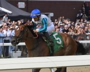 Purasangre ganador del Premio Eclipse no participará en la jornada del Dubai World Cup