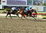 Linaje de clase en La Rinconada: La nieta del histórico Candy Ride vuelve tras 105 días de pausa