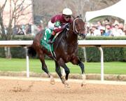 Magnitude quedó listo para su viaje a Dubai luego de ganar el Razorback Stakes en Oaklawn Park