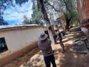 Sedes confirma 261 casos de chikungunya en Tarija