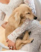 Charles Leclerc y Alexandra Saint Mleux celebran su boda en Mónaco con un toque de glamour sobre ruedas