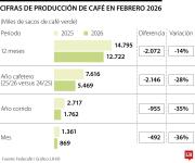 Producción de café en febrero alcanzó 869.000 sacos de 60 kg, con una caída de 36%
