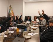 Comisión de Diputados aprobó una Minuta de Comunicación para impulsar la construcción del nuevo edificio de la FELCC de El Alto