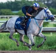 Amazona al ruedo: yoqueta venezolana con una oportunidad de monta este viernes