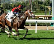 La increíble hazaña del potro de Bob Baffert que ganó con Emisael Jaramillo