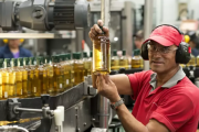 Exportaciones de pisco chileno crecen 27% en 2025 y superan los US$ 3,9 millones