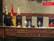 Ministro Medinaceli brinda informe oral ante el pleno del Senado sobre el combustible