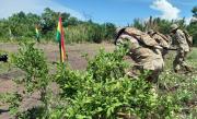Arranca la erradicación y racionalización de cultivos de coca con despliegue de efectivos