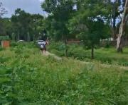 Crecimiento de maleza en la García Agreda de Tarija genera riesgo de mosquitos e inseguridad