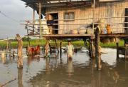 Más de 54.000 hectáreas afectadas por inundaciones en Guayas