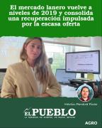 El mercado lanero vuelve a niveles de 2019 y consolida una recuperación impulsada por la escasa oferta ‣ Martin Ferreira Pinto
