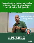 Inversión en pasturas vuelve a tomar fuerza impulsada por el valor del ganado ‣ Martin Ferreira Pinto