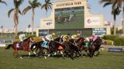 Duelo de velocidad: Rezasrolex y Litigation se medirán en la grama del Silks Run Stakes por $125,000